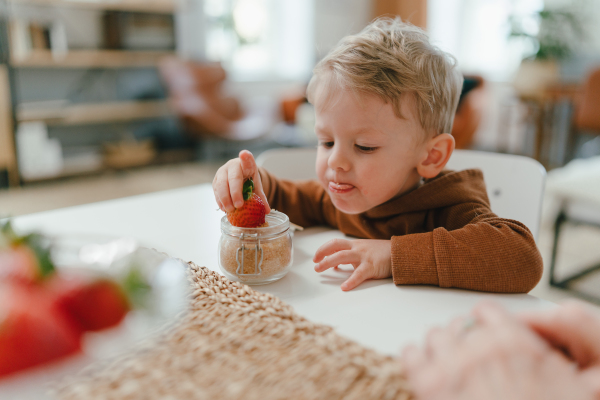 Little child eating homegrown strawberries with brown sugar.