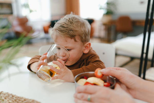 Little boy drinking a tea, having snack with his grandmother.