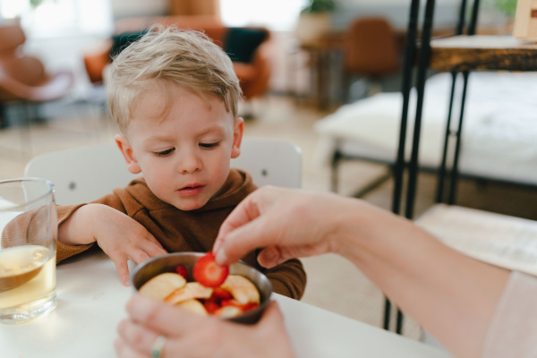 Little boy having fruit snack with his grandmother. Apple and strawberries in lunch box.