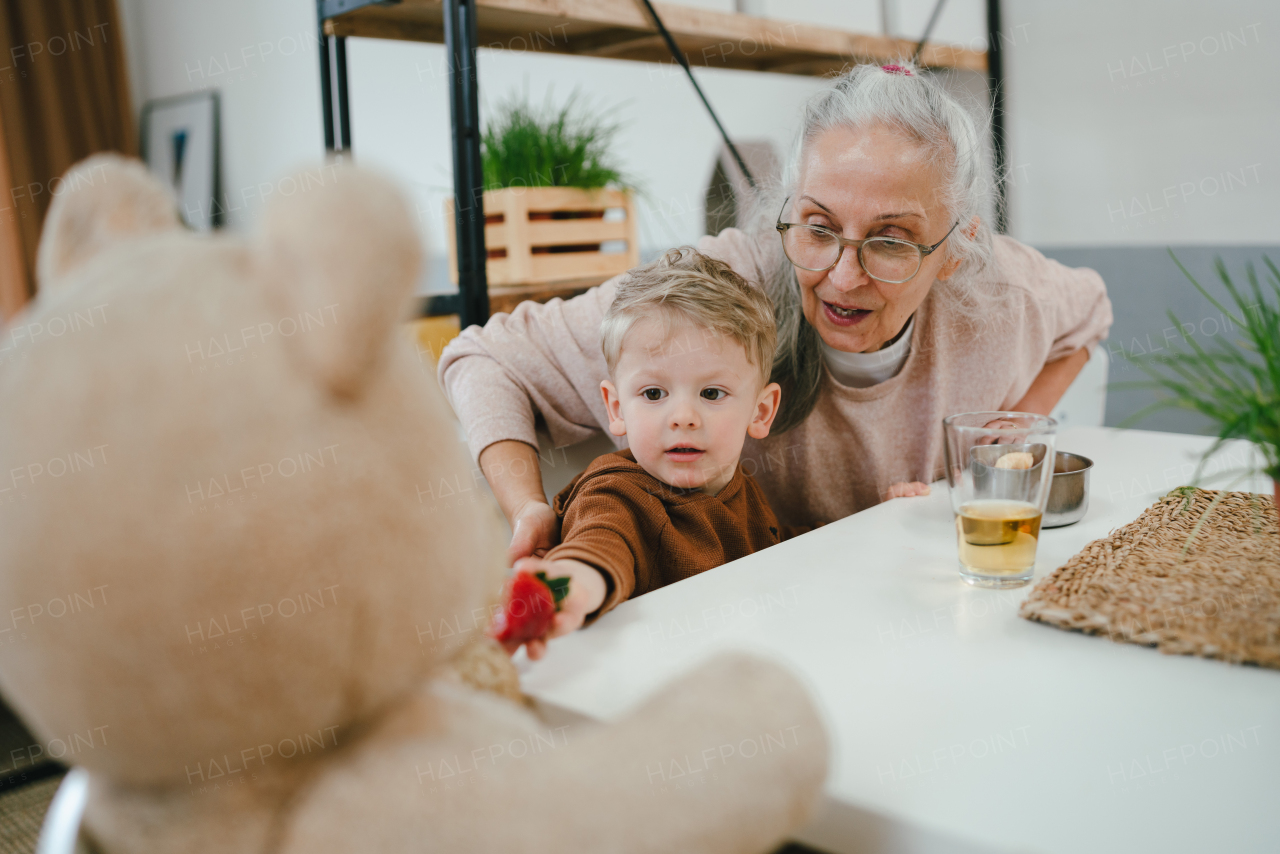 Little boy and his grandmother feeding his bear with strawberries.