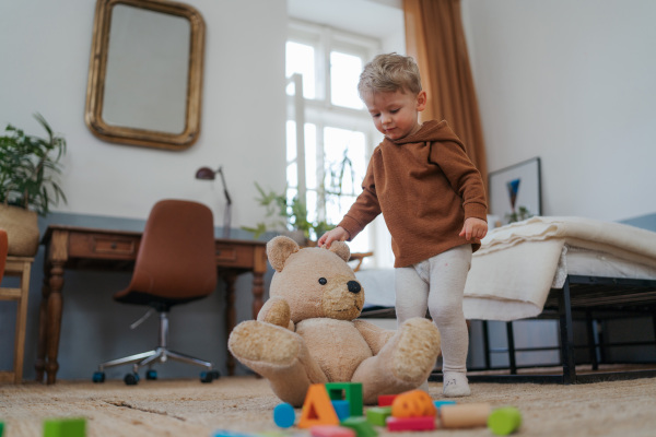 Little boy playing with a bear toy and cubes at home.