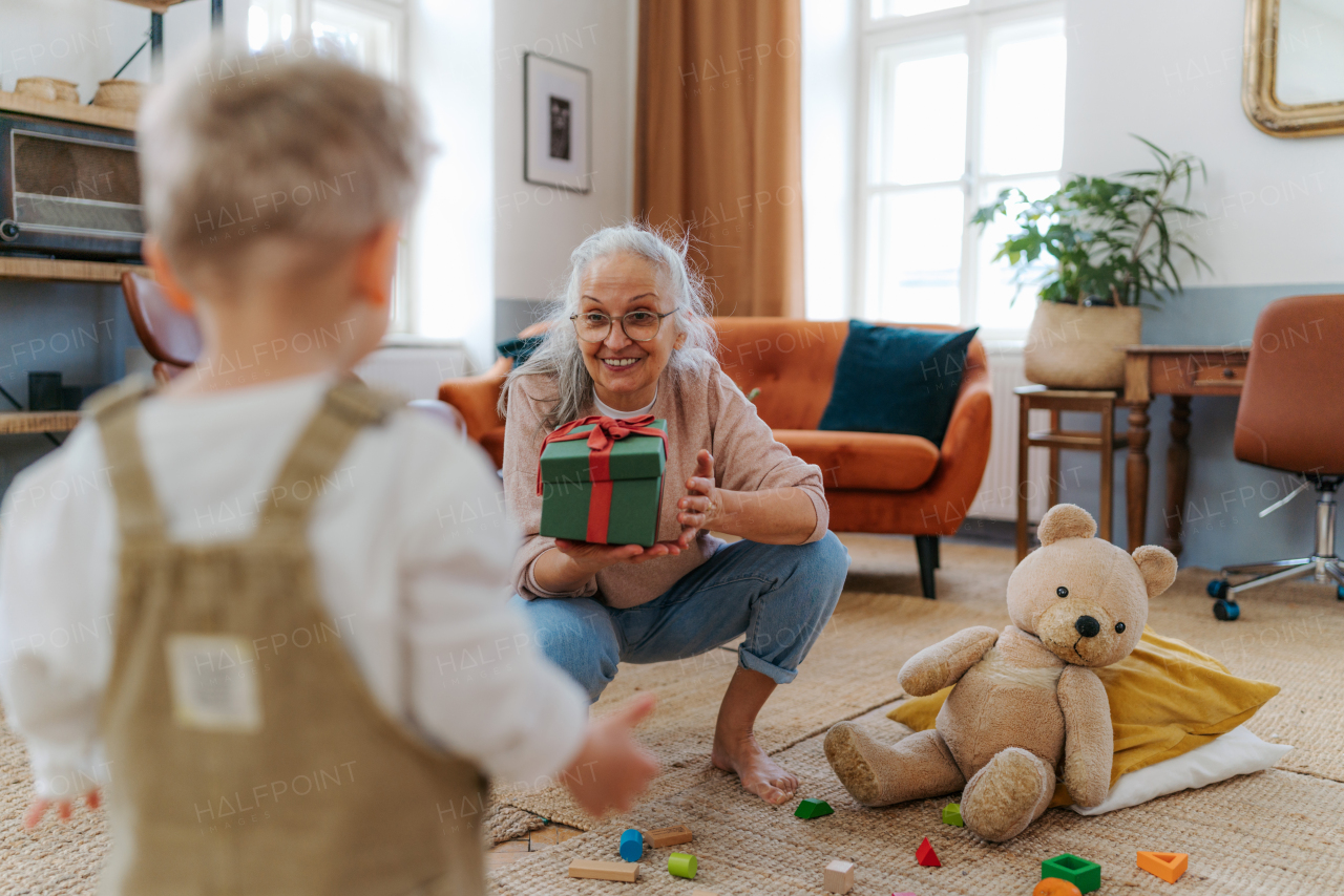 Grandmother giving present to her little grandson.