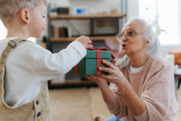 Grandmother giving present to her little grandson.