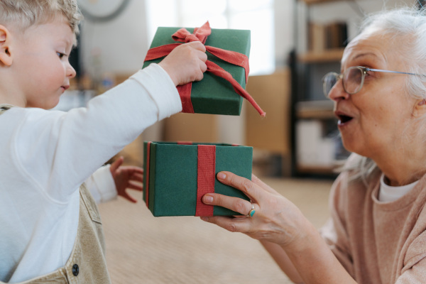 Grandmother giving present to her little grandson.