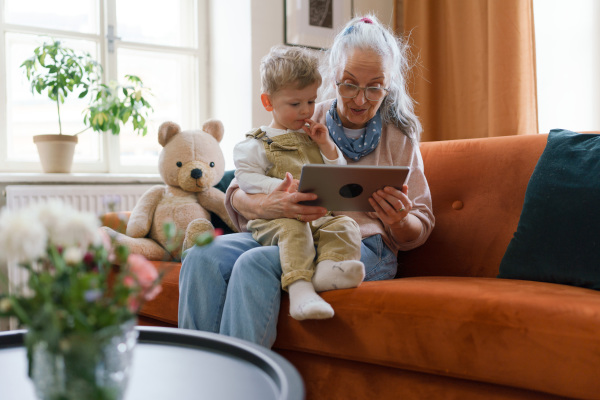 Grandmother looking fairytale with her grandson on a digital tablet.