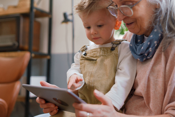 Grandmother learning with her grandson on a digital tablet. Young child looking at tablet.