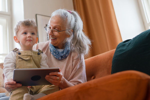 Grandmother looking fairytale with her grandson on a digital tablet.