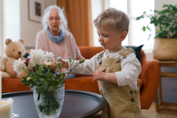 Little boy looking at flowers in a vase.