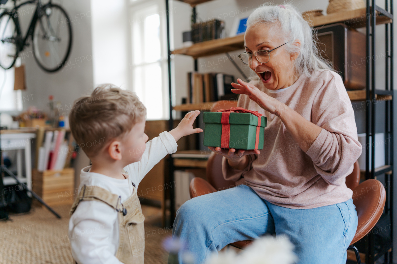 Grandmother giving present to her little grandson.