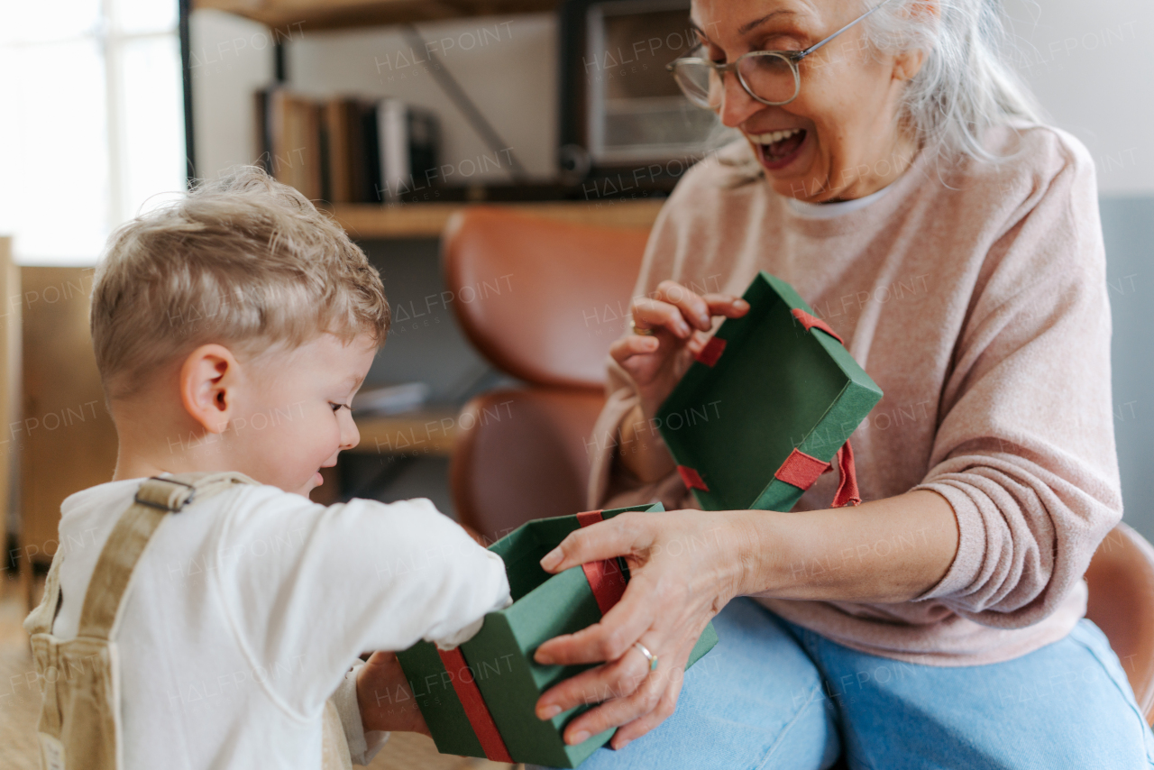 Grandmother giving present to her little grandson.