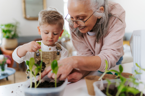 Grandmother with her grandson planting vegetables and flowers, spring time.