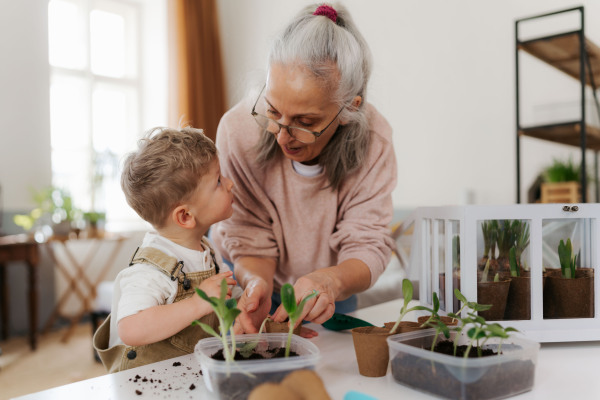 Grandmother with her grandson planting vegetables and flowers, spring time.