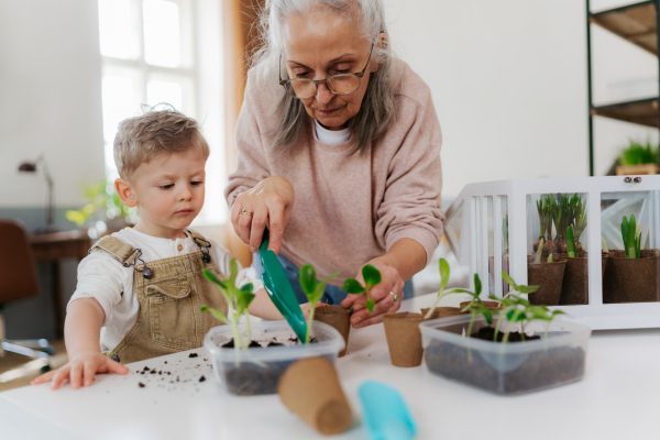 Grandmother with her grandson planting vegetables and flowers, spring time.