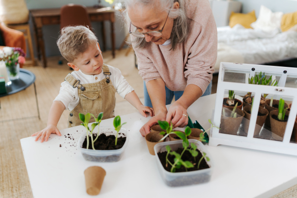 Grandmother with her grandson planting vegetables and flowers, spring time.