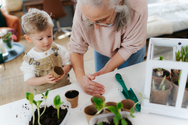 Grandmother with her grandson planting vegetables and flowers, spring time.