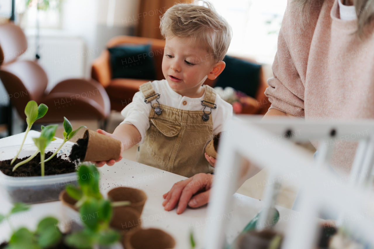 Grandmother with her grandson planting vegetables and flowers, spring time.