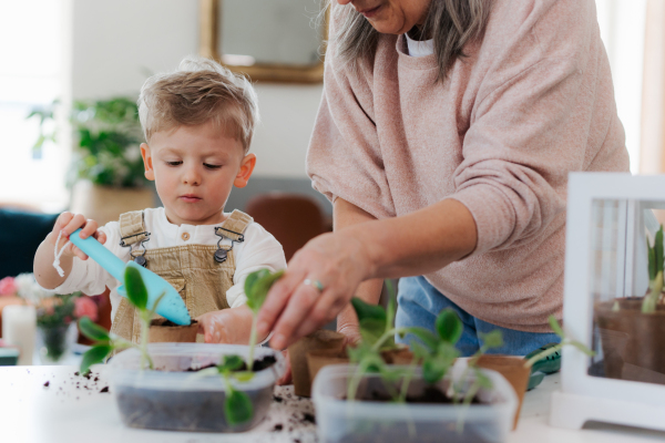 Grandmother with her grandson planting vegetables and flowers, spring time.