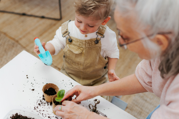 Grandmother with her grandson planting vegetables and flowers, spring time.