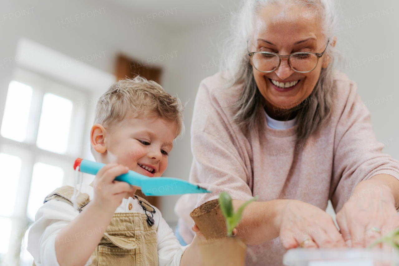 Grandmother with her grandson planting vegetables and flowers, spring time.