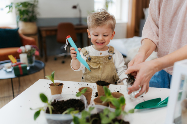 Grandmother with her grandson planting vegetables and flowers, spring time.