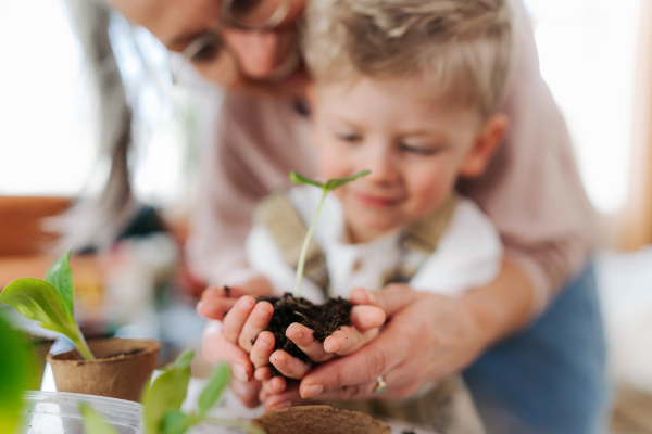 Grandmother with her grandson planting vegetables and flowers, spring time.