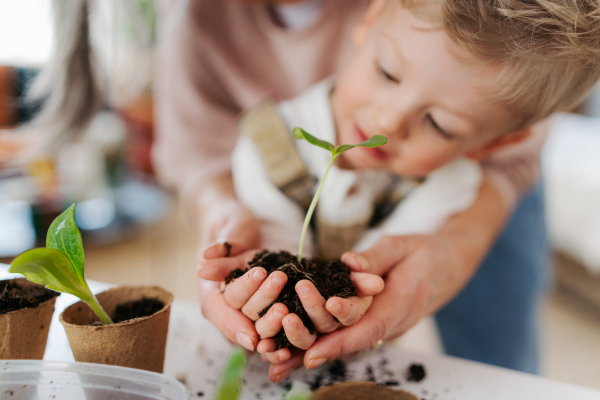 Grandmother with her grandson planting vegetables and flowers, spring time.