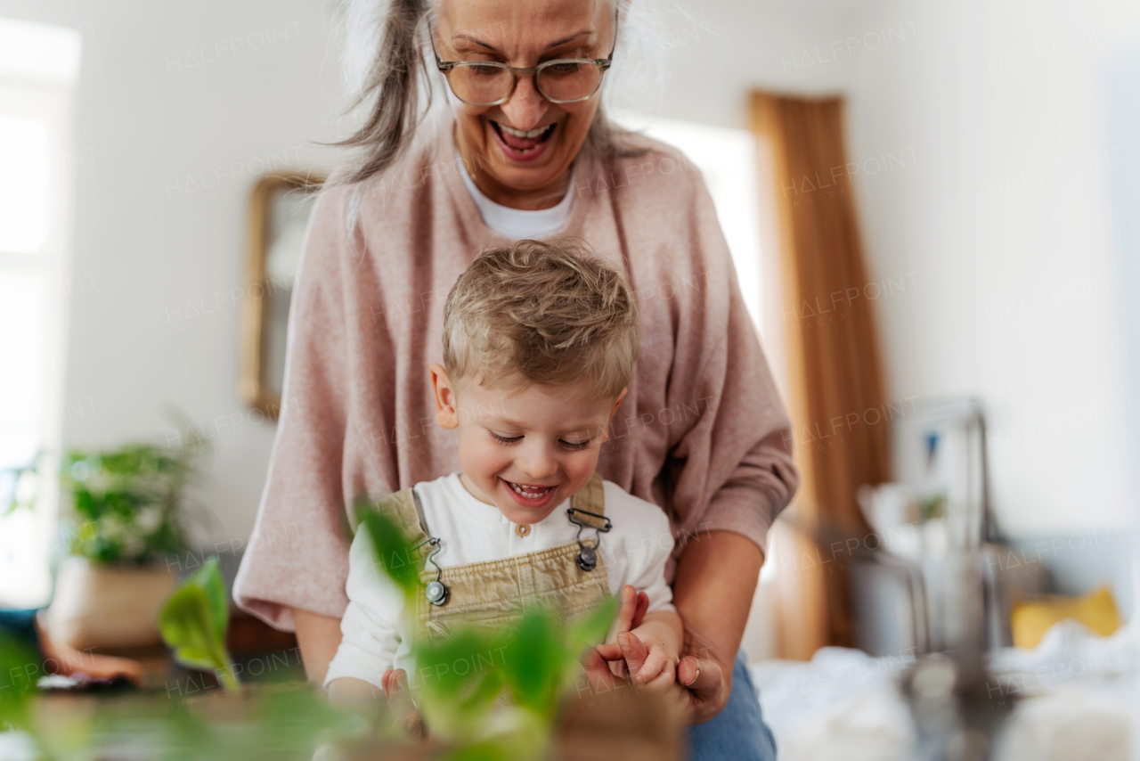 Grandmother with her grandson planting vegetables and flowers, spring time.