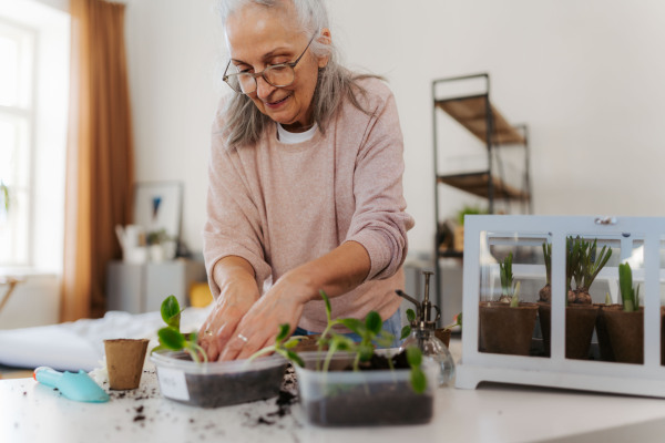 Senior woman planting vegetables and flowers. Beautiful woman taking care of seedlings.