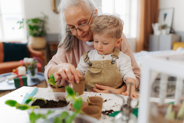 Grandmother with her grandson planting vegetables and flowers, spring time.