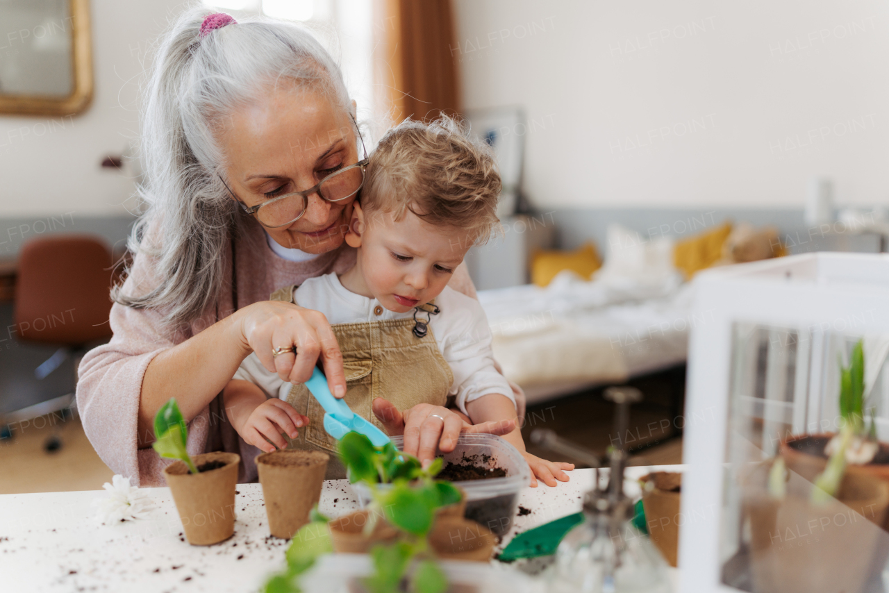 Grandmother with her grandson planting vegetables and flowers, spring time.