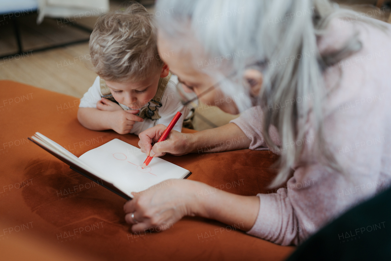 Grandmother drawing in notepad with her little grandson.