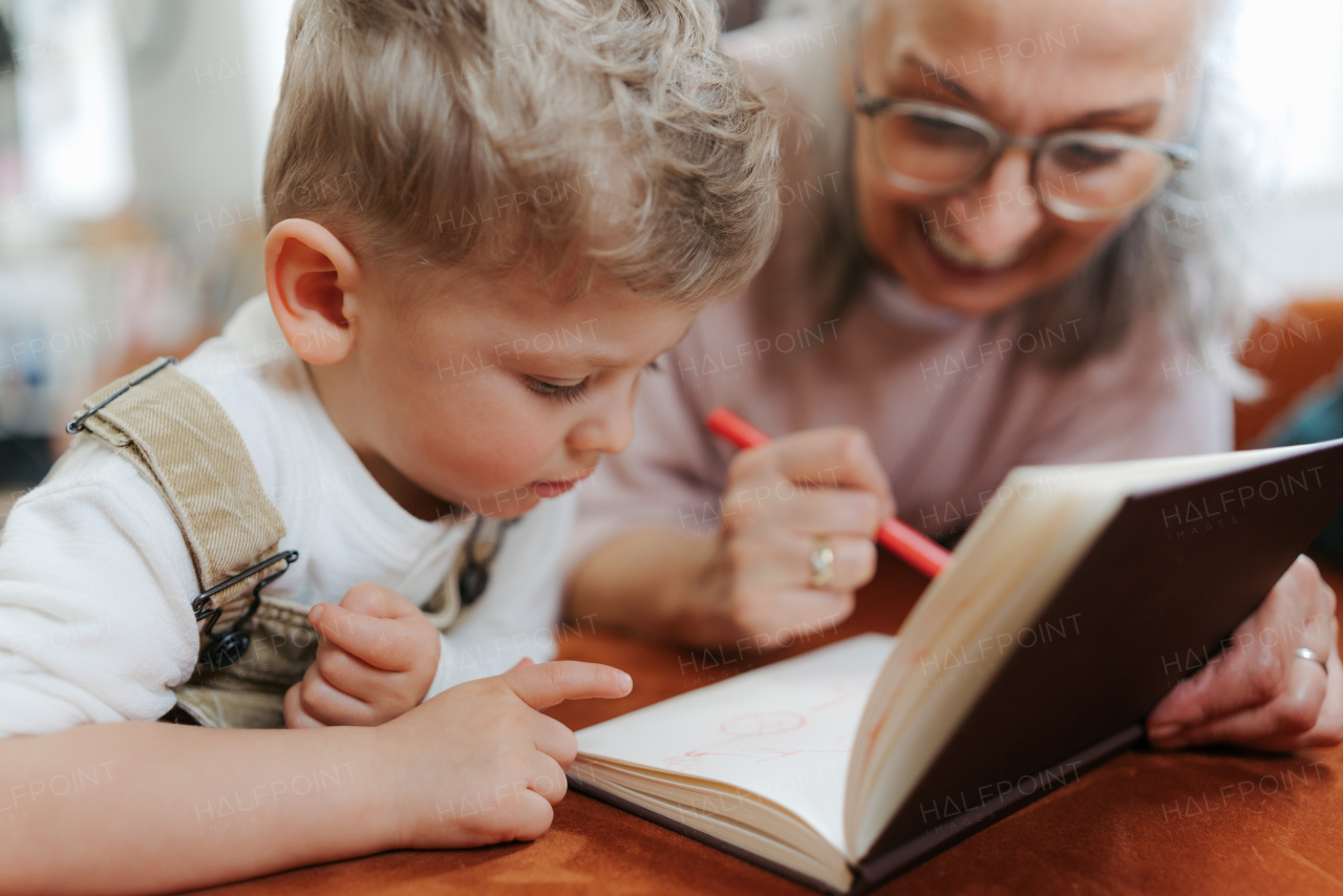 Grandmother drawing in notepad with her little grandson.