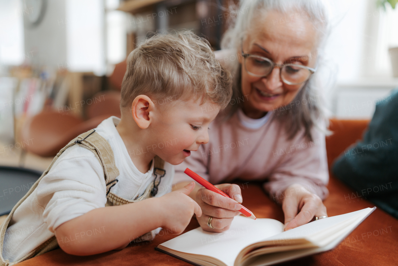 Grandmother drawing in notepad with her little grandson.