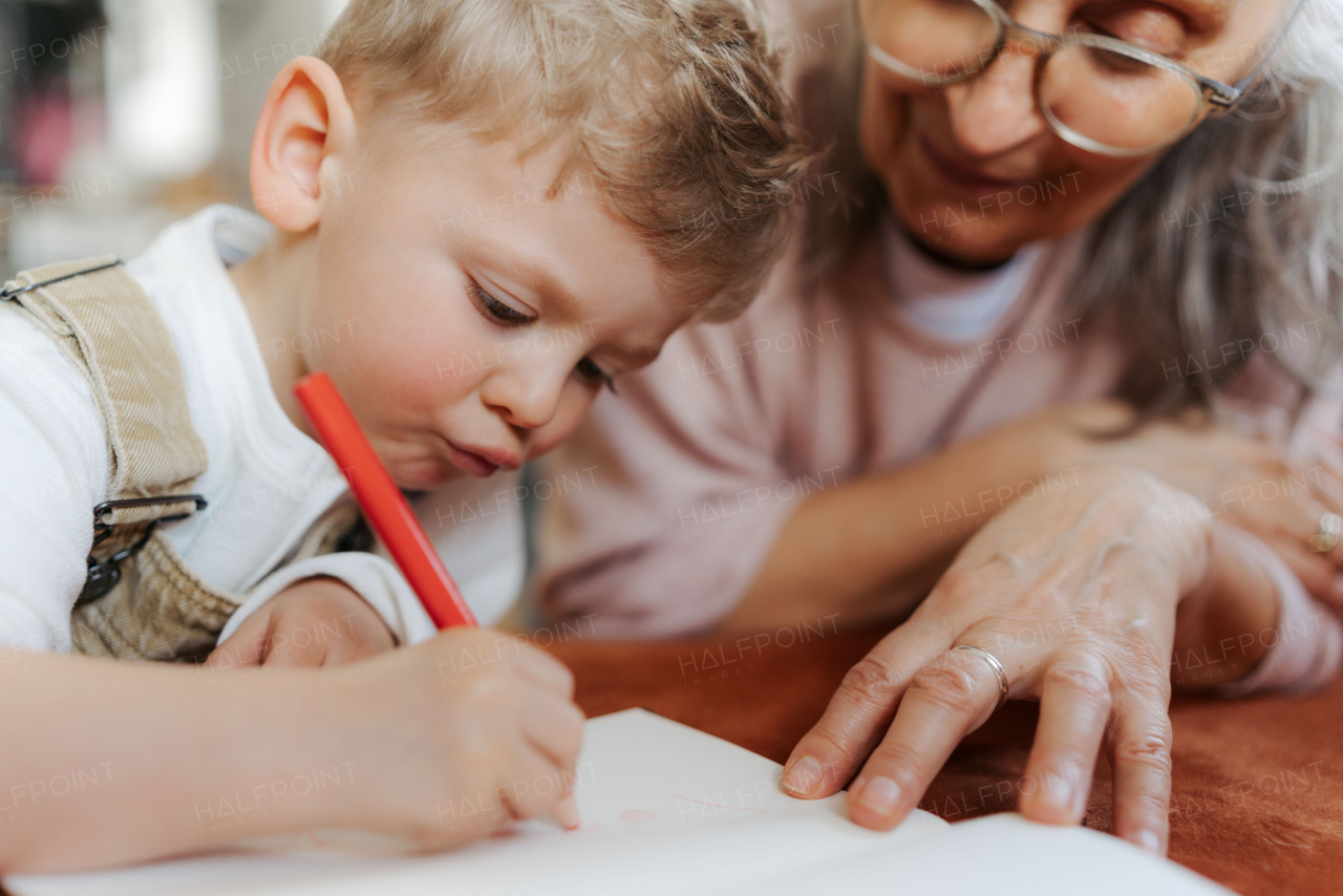 Grandson drawing in notepad with his grandmother. Focused child drawning with crayons.