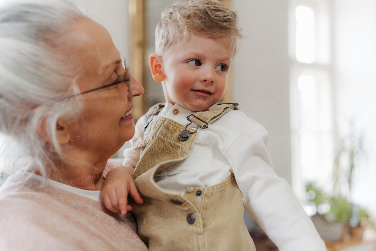 Senior woman spending time and having fun with little grandson.