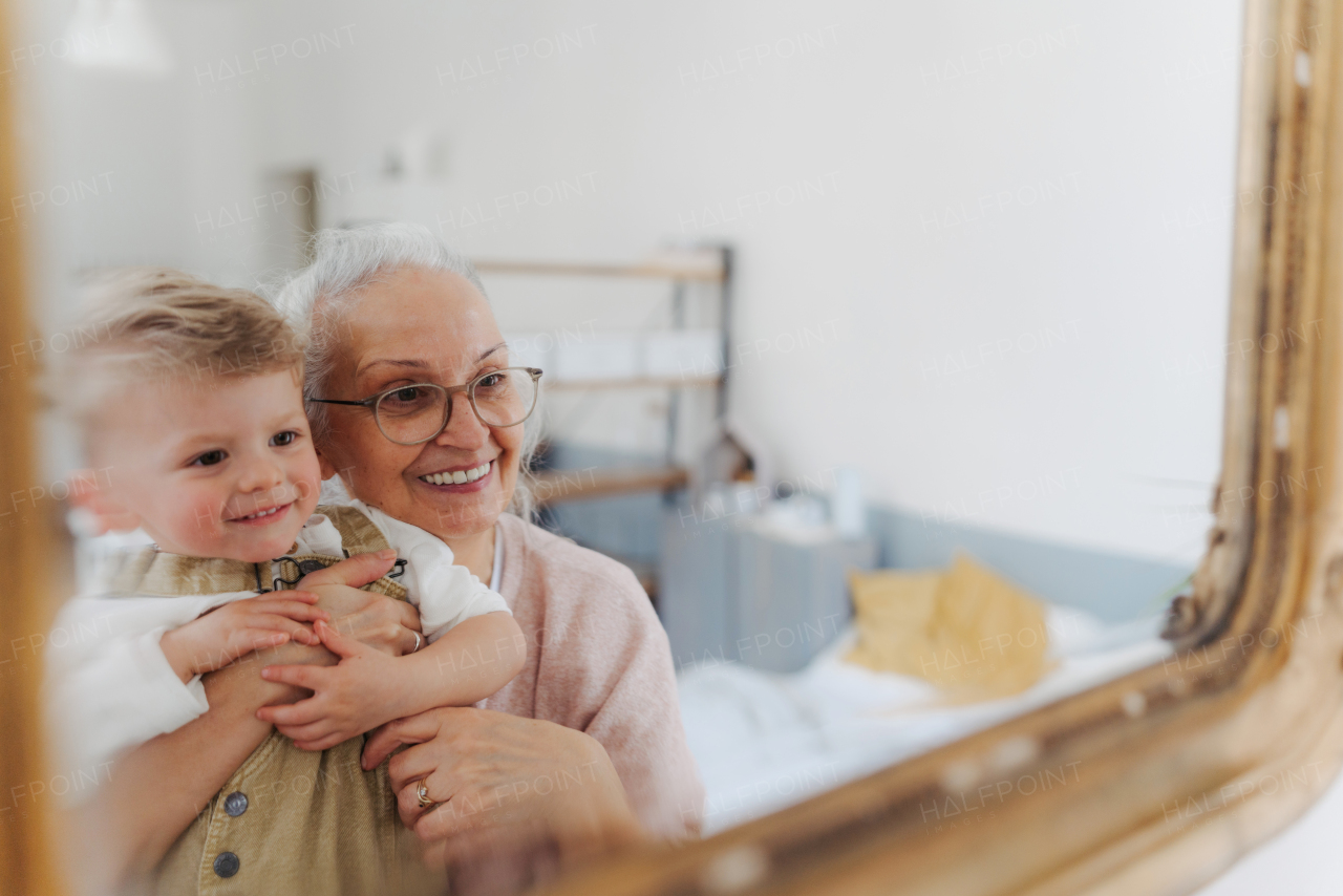 Senior woman holding her little grandson and looking in a mirror.