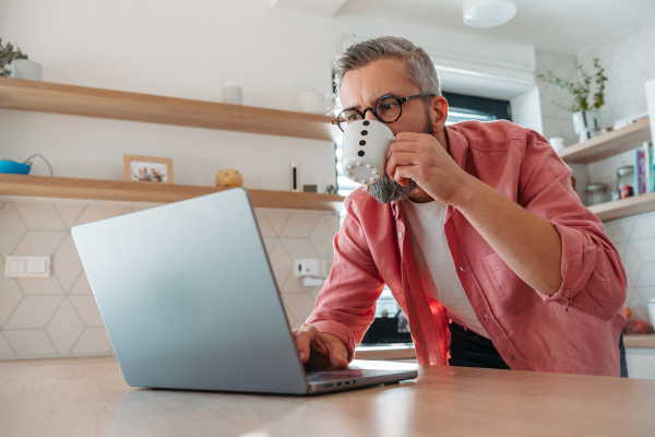 Mature man in pink shirt working from home on laptop, standing by kitchen island, with cup of coffee, holding smartphone. Concept of remote work from home. Hygge at work.