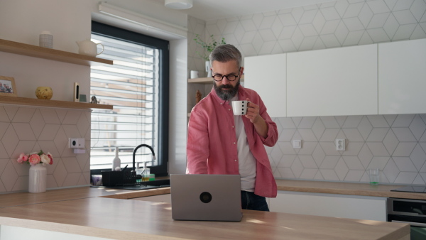 Mature man in pink shirt working from home on laptop, standing by kitchen island, with cup of coffee, holding smartphone. Concept of remote work from home. Hygge at work.