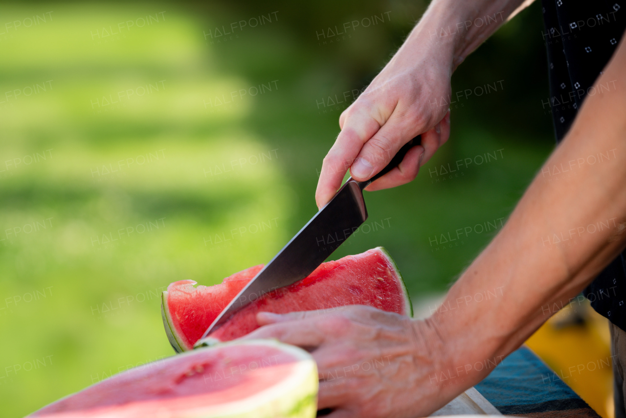 Close up of man holding sharp knife, slicing juicy red watermelon. Preparing food for outdoor barbecue.