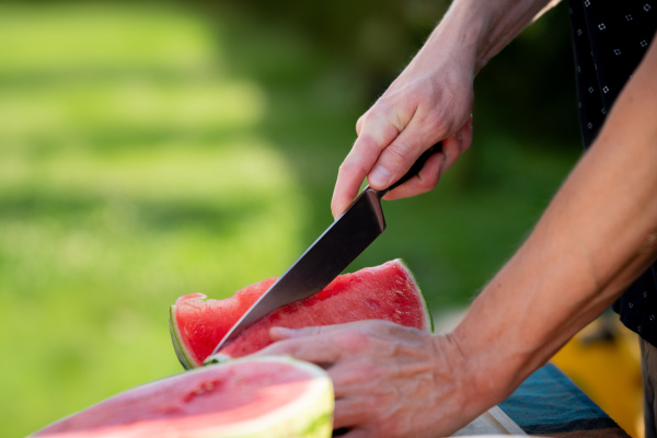 Close up of man holding sharp knife, slicing juicy red watermelon. Preparing food for outdoor barbecue.