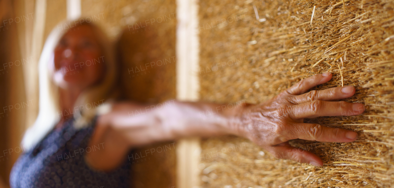 A happy senior woman inside of her new unfinished ecological wooden house.