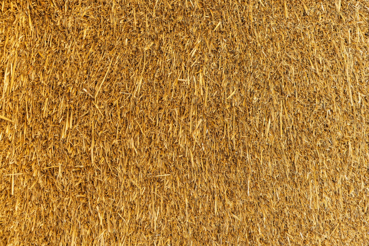 Close-up of straw detail at construction of an ecological renewable low energy sustainable wooden eco house.