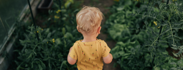 A rear view of little baby boy inside greenhouse on a farm