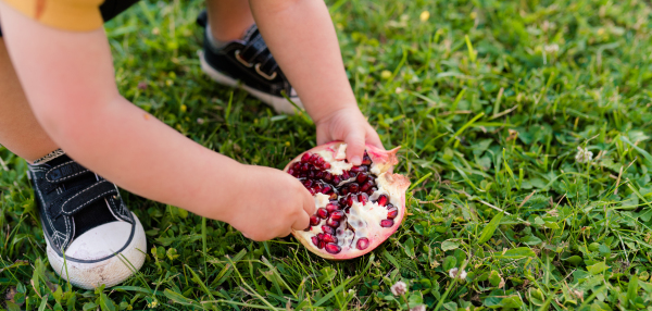 A cute little boy eating pomegranate in garden in summer.