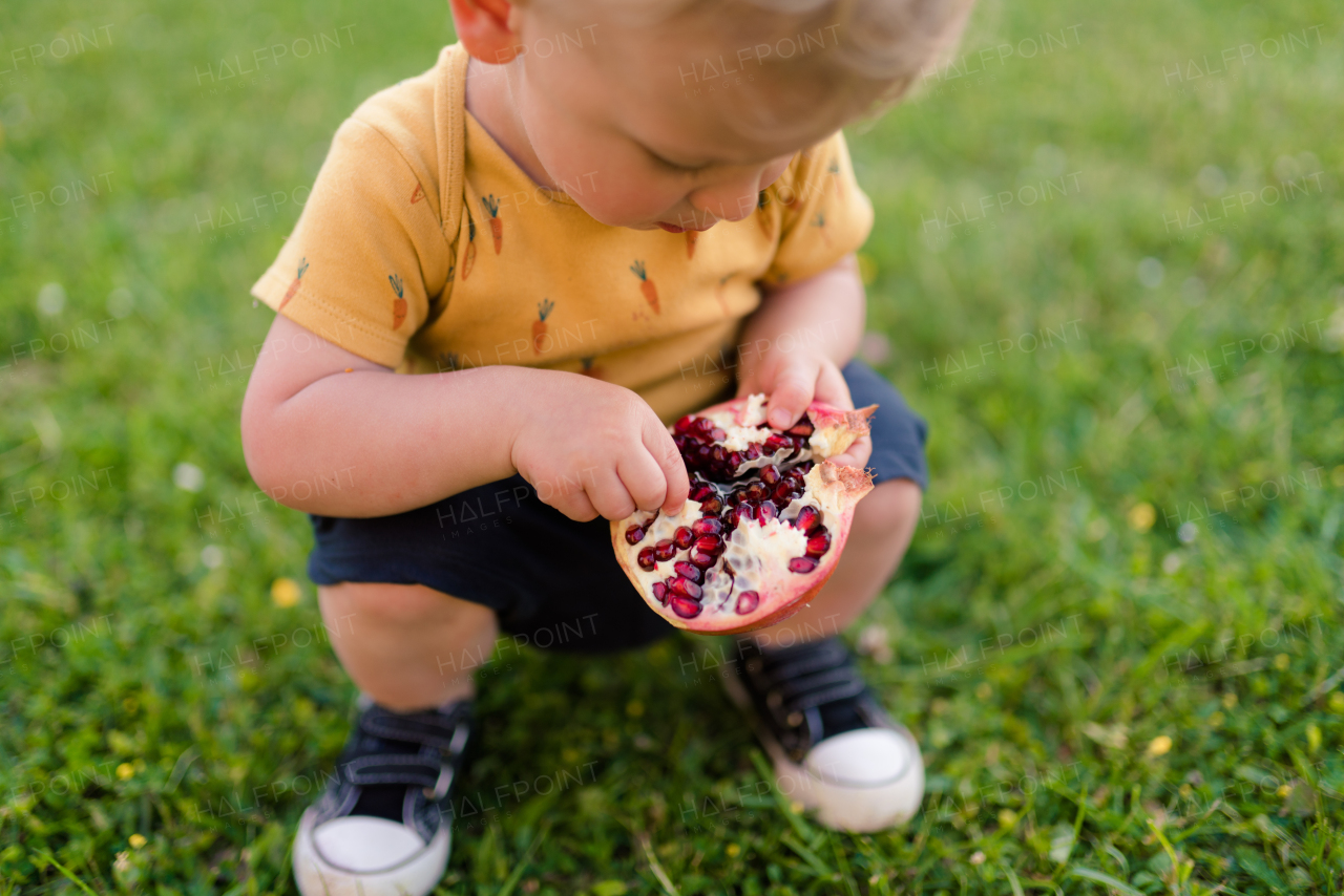 A cute little boy eating pomegranate in garden in summer.