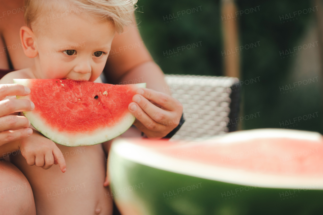 A cute little boy with unrecognizable mother eating watermelon in garden in summer.