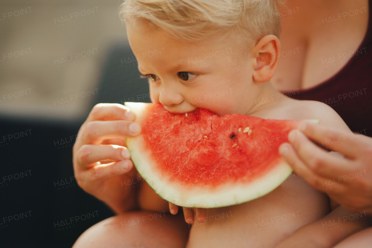 A cute little boy with unrecognizable mother eating watermelon in garden in summer.