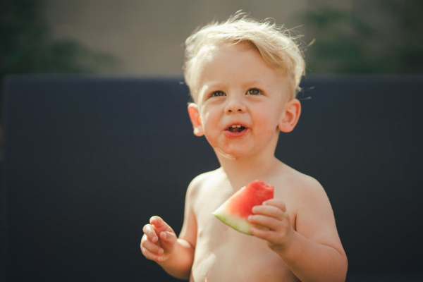 A cute little boy eating watermelon in garden in summer.