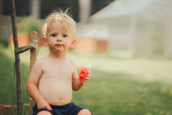 A cute little boy eating watermelon in garden in summer.