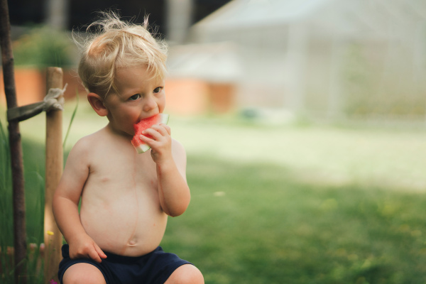 A cute little boy eating watermelon in garden in summer.